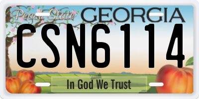 GA license plate CSN6114