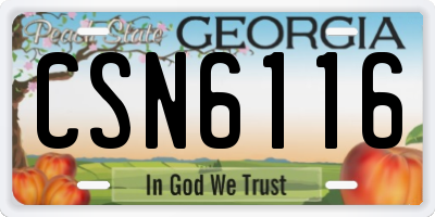 GA license plate CSN6116
