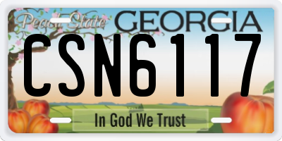 GA license plate CSN6117