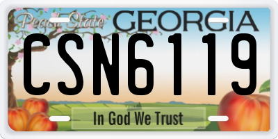 GA license plate CSN6119