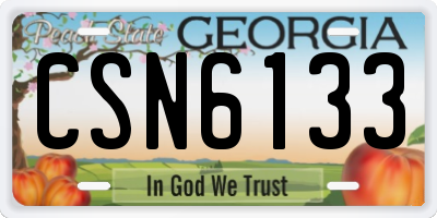 GA license plate CSN6133