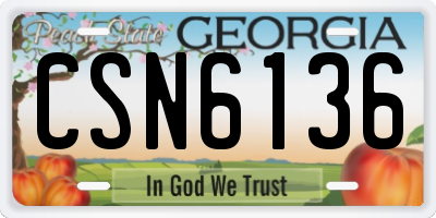 GA license plate CSN6136