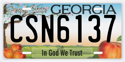 GA license plate CSN6137