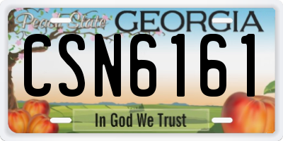 GA license plate CSN6161