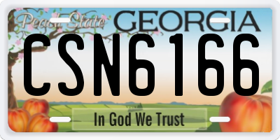 GA license plate CSN6166