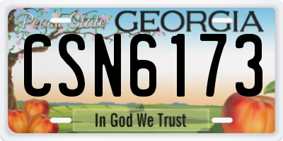 GA license plate CSN6173