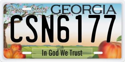 GA license plate CSN6177