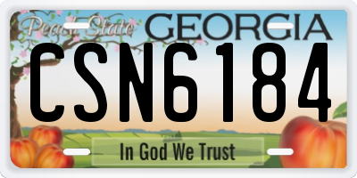 GA license plate CSN6184