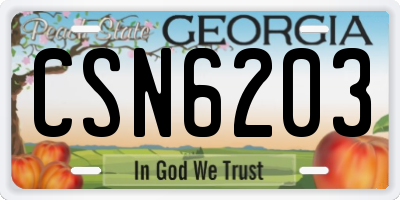 GA license plate CSN6203