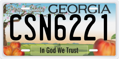 GA license plate CSN6221