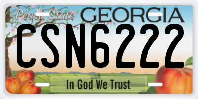 GA license plate CSN6222