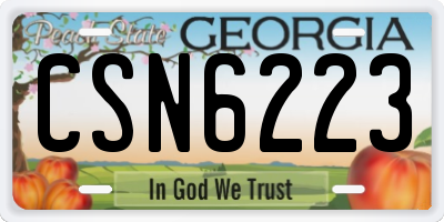 GA license plate CSN6223