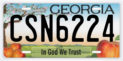 GA license plate CSN6224