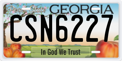 GA license plate CSN6227