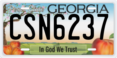 GA license plate CSN6237