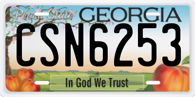 GA license plate CSN6253