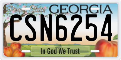 GA license plate CSN6254