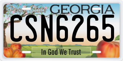 GA license plate CSN6265