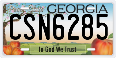 GA license plate CSN6285