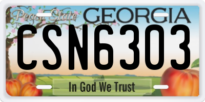 GA license plate CSN6303