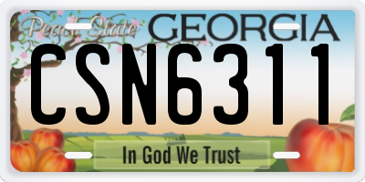 GA license plate CSN6311
