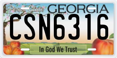 GA license plate CSN6316