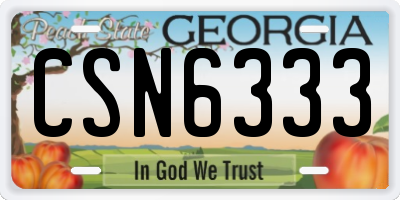 GA license plate CSN6333