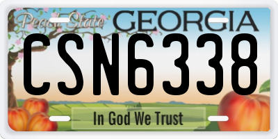 GA license plate CSN6338