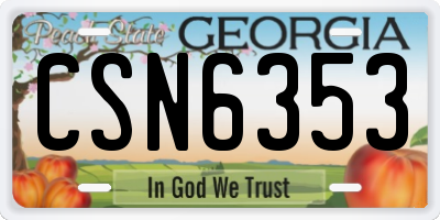 GA license plate CSN6353