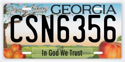 GA license plate CSN6356