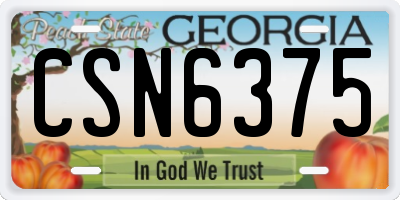 GA license plate CSN6375