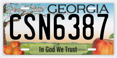 GA license plate CSN6387