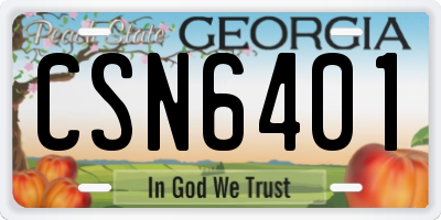 GA license plate CSN6401