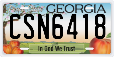 GA license plate CSN6418