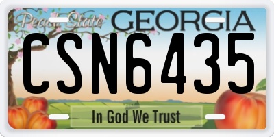 GA license plate CSN6435