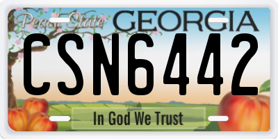 GA license plate CSN6442