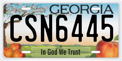 GA license plate CSN6445