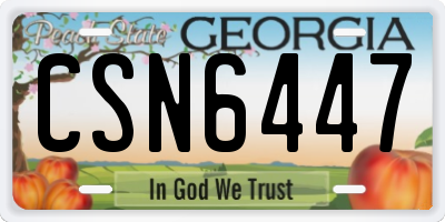 GA license plate CSN6447