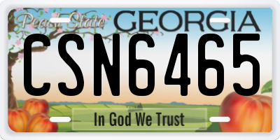 GA license plate CSN6465