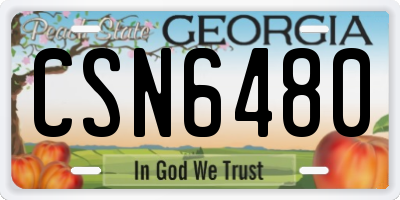 GA license plate CSN6480