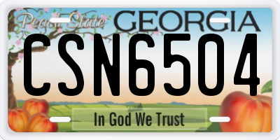 GA license plate CSN6504