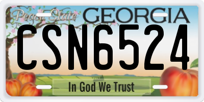 GA license plate CSN6524