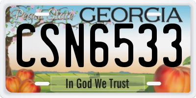 GA license plate CSN6533