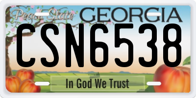 GA license plate CSN6538
