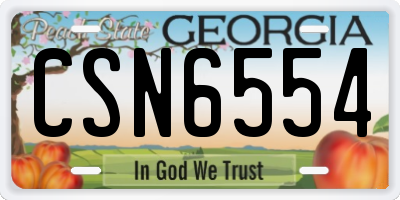 GA license plate CSN6554