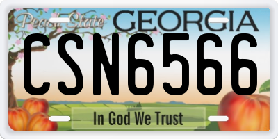 GA license plate CSN6566
