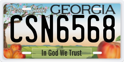 GA license plate CSN6568