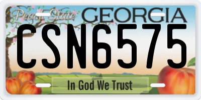 GA license plate CSN6575