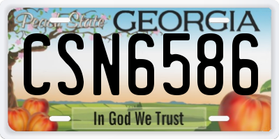 GA license plate CSN6586