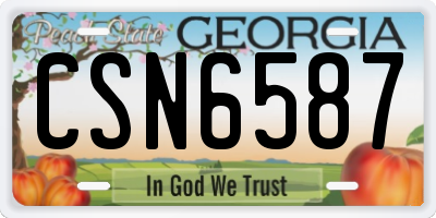 GA license plate CSN6587